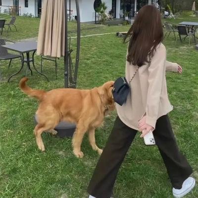 无耻之徒第六季